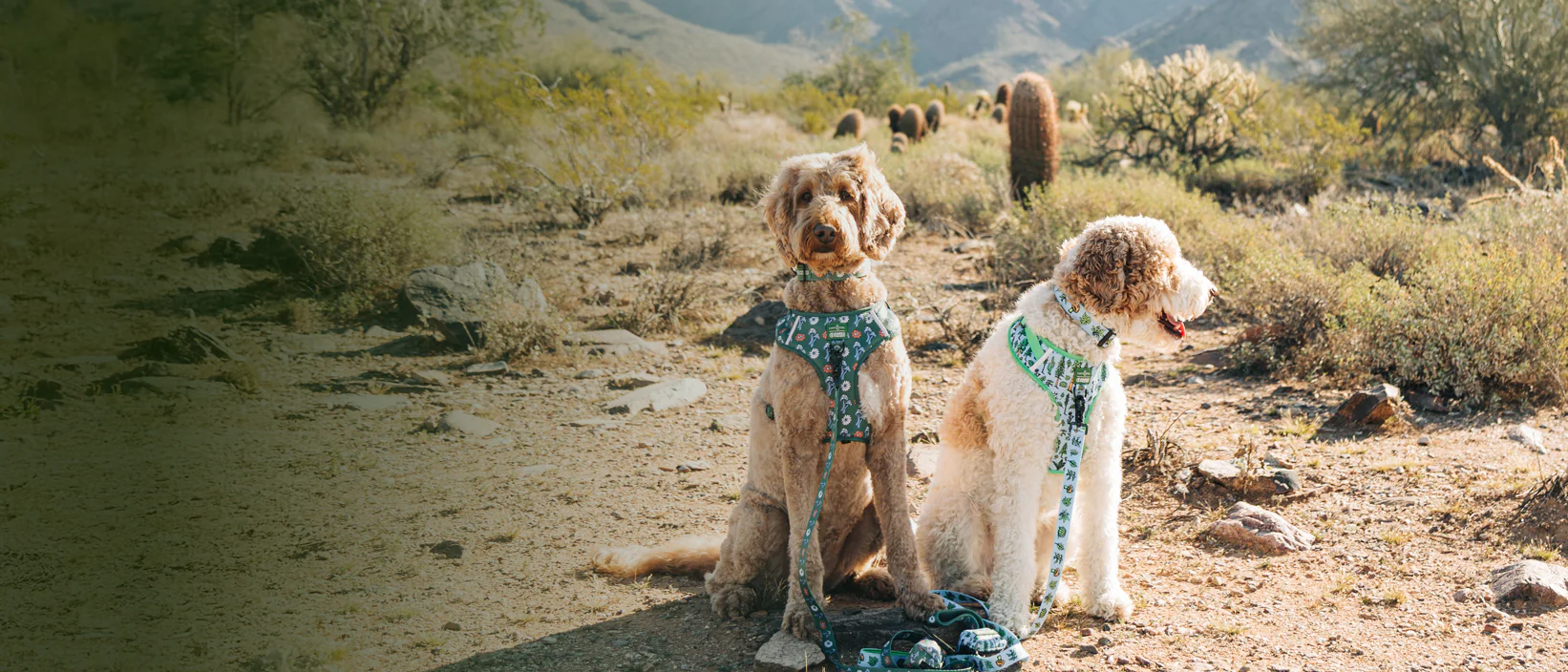 Style for You and Your Best Friend